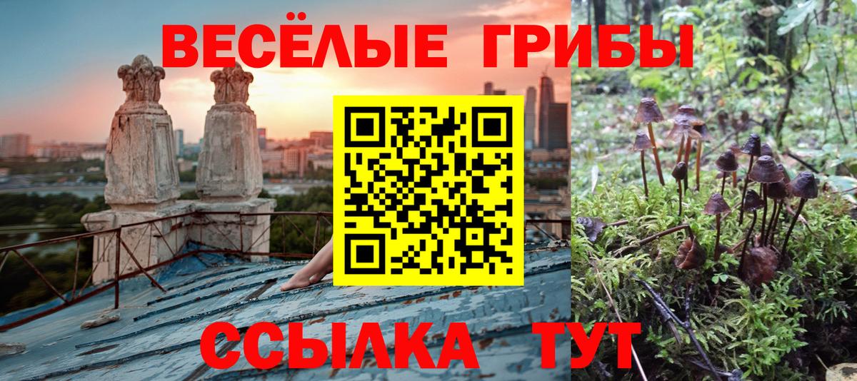 Галлюциногенные грибы Psilocybine cubensis  Вход с VPN  продажа наркотиков  Курчатов  Псилоцибиновые грибы Psilocybine cubensis 
